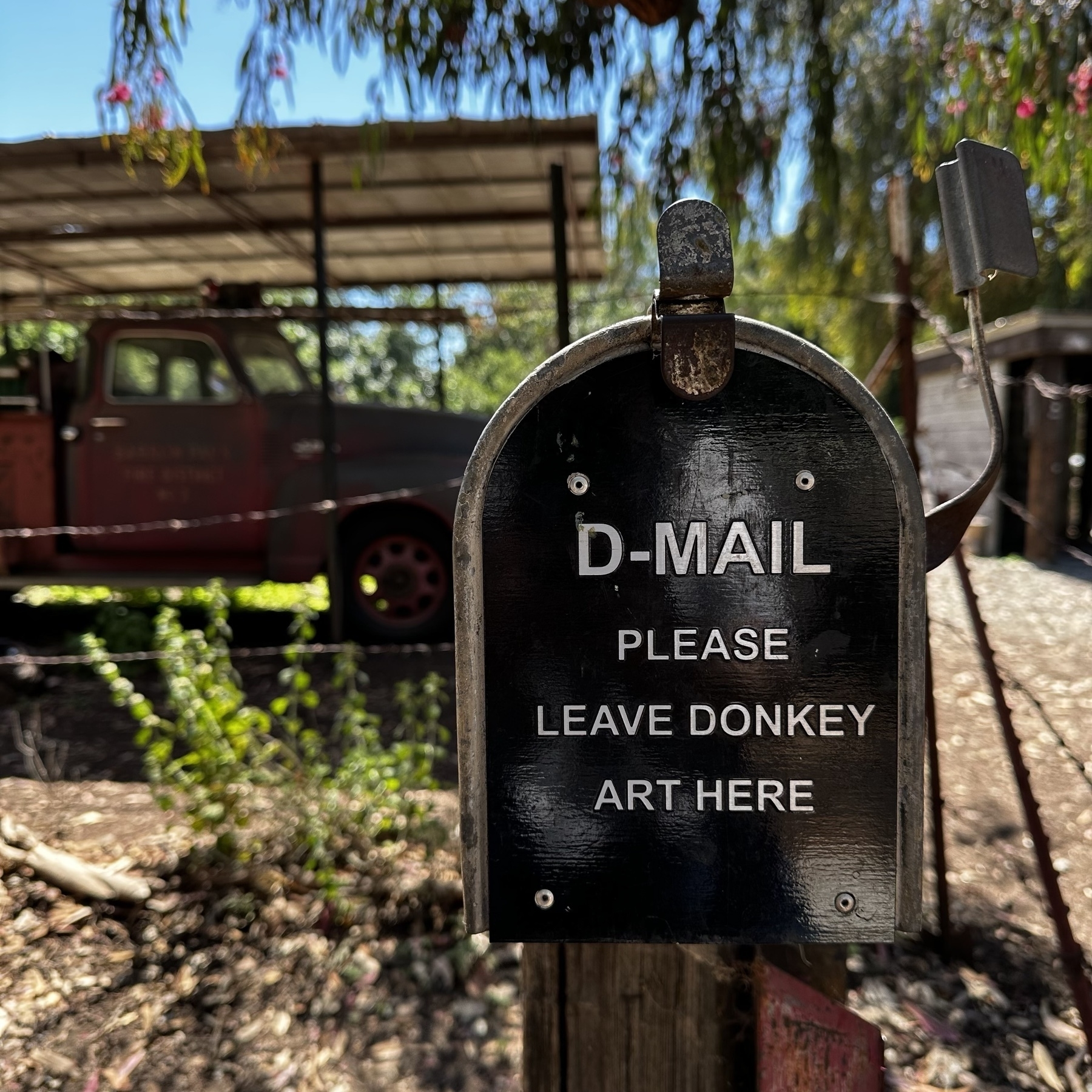 A mailbox at a petting zoo that says D-Mail Please Leave Donkey Art Here