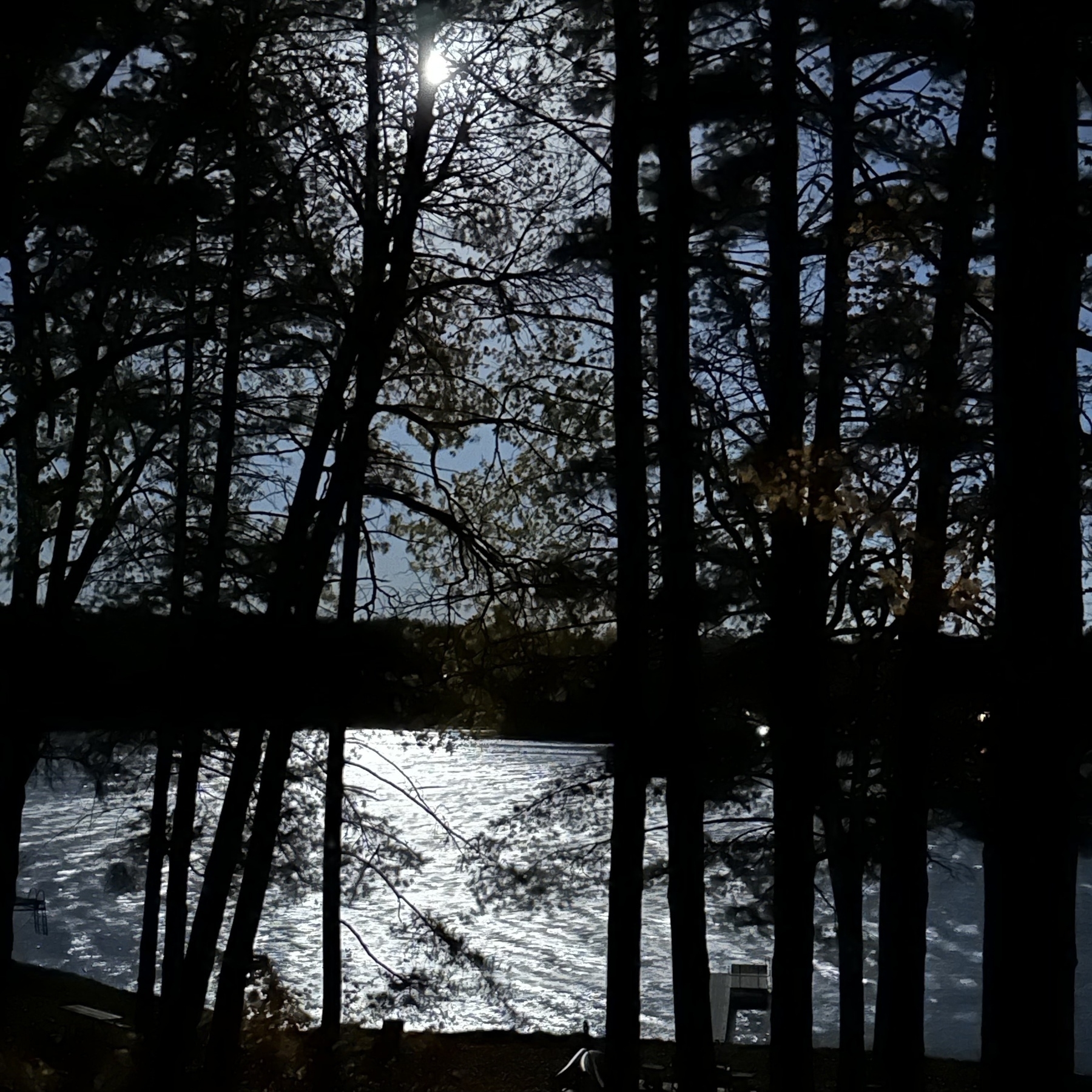 Lake in the moonlight.